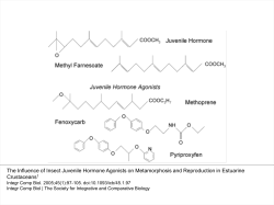 The Influence of Insect Juvenile Hormone Agonists on