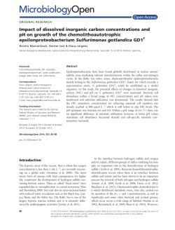 Impact of dissolved inorganic carbon concentrations