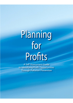 A Self-Assessment Guide to Identifying Profit Opportunities Through