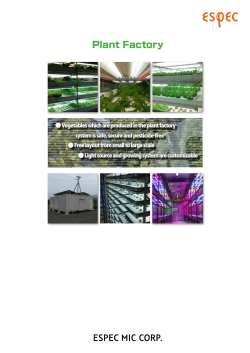 Plant Factory