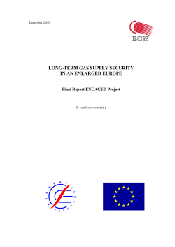 Long-term gas supply security in an enlarged Europe