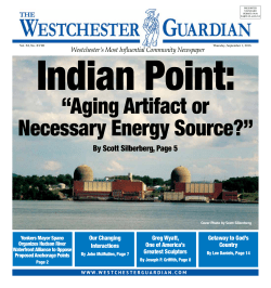 Aging Artifact or Necessary Energy Source?