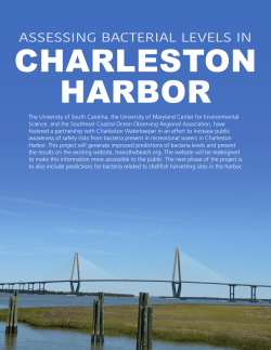 How`s the Beach? March 2017 Newsletter