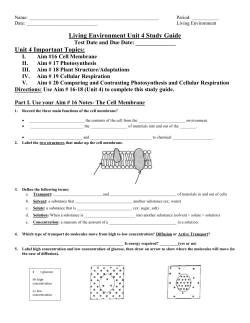 Unit 4 Important Topics: Aim #16 Cell