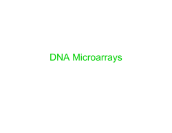 DNA Microarrays