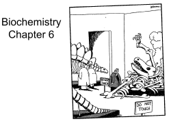 Biochemistry