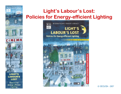 Light`s Labour`s Lost: Policies for Energy