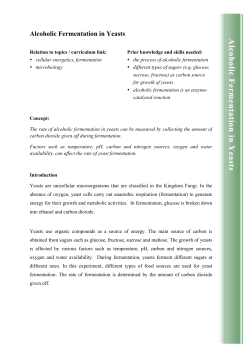Alcoholic Fermentation in Yeasts