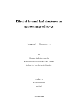Effect of internal leaf structures on gas exchange of leaves