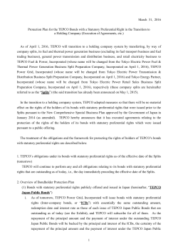 Protection Plan for the TEPCO Bonds with a Statutory Preferential