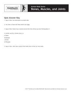 Answer Key: Bones, Muscles, and Joints