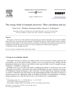 The exergy fields in transport processes: Their