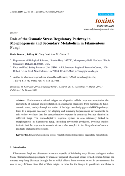 Role of the Osmotic Stress Regulatory Pathway in