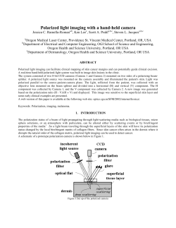 Polarized light imaging with a hand-held camera