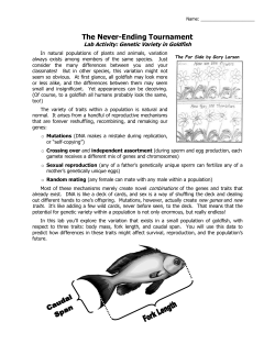 Histogram of Weight Class