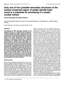 Only one of four possible secondary structures of