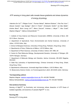 ATP sensing in living plant cells reveals tissue gradients