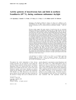 Activity patterns of insectivorous bats and birds in northern