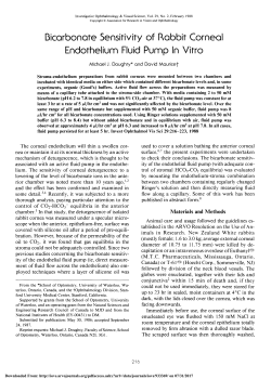 Bicarbonate sensitivity of rabbit corneal endothelium fluid
