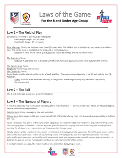 For the 8 and Under Age Group Law 1 &ndash; The Field of Play Law 2