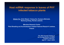 Host miRNA response in leaves of PVY infected tobacco plants