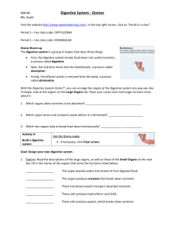 Lesson 7 &ndash; The Digestive System &ndash; Gizmo