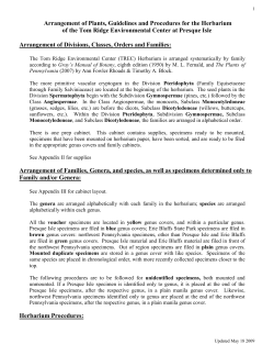 Procedures, Uses, and Arrangement of Plants in