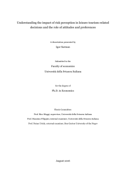 Understanding the impact of risk perception in leisure tourism