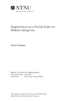 Degeneration as a Partial Order on Module Categories