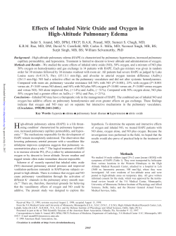 Effects of Inhaled Nitric Oxide and Oxygen in High