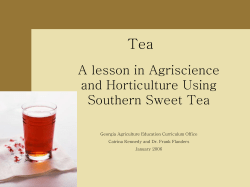 Tea_Agriscience_Lesson_on_Tea