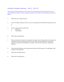 Laboratory Summary Questions: Lab #3