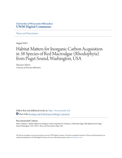 Habitat Matters for Inorganic Carbon Acquisition in 38 Species of