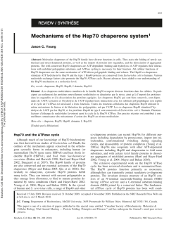 Mechanisms of the Hsp70 chaperone systemThis paper is