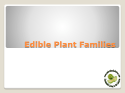 plant families st clair pdf