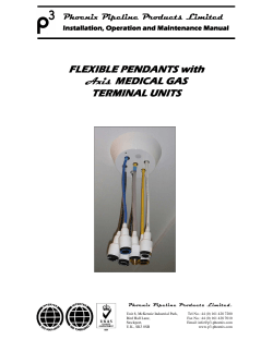 FLEXIBLE PENDANTS with FLEXIBLE PENDANTS with Axis