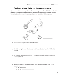 Food chain, biomag and symbiosis