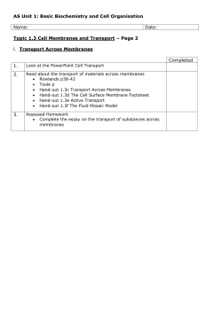 Movement across Cell Membranes