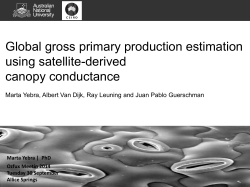 Global gross primary production estimation using satellite