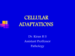 Tissue and Cellular Injury