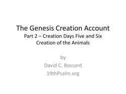 lecture part two the creation of animals days five