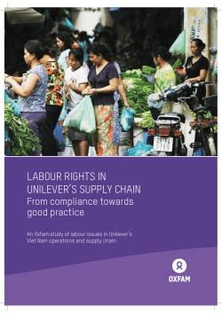 Labour Rights in Unilever`s Supply Chain: From compliance to good