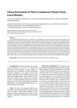 Characterization of Three Lamiaceae Plants From Local Market