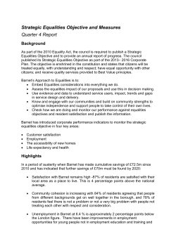 Strategic Equalities Objective and Measures
