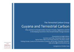 Guyana and Terrestrial Carbon - Low Carbon Development Strategy
