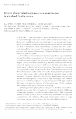 Growth of macrophytes and ecosystem consequences in a lowland