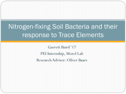 Nitrogen-fixing Soil Bacteria and their response to Trace Elements