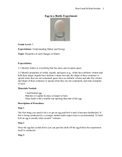 Egg in a Bottle Experiment