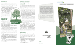 Consumers Energy - Village of Caledonia