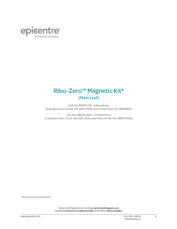 Protocol for Ribo-Zero™ Magnetic Kit (Plant Leaf)